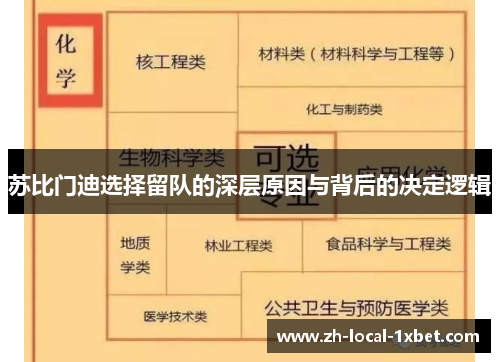 苏比门迪选择留队的深层原因与背后的决定逻辑 苏比门迪选择留队的深层原因与背后的决定逻辑